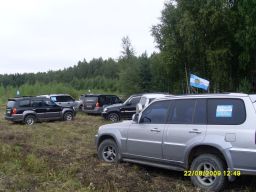 154545564