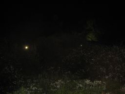 153284732