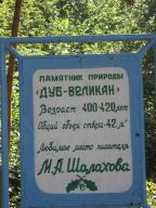 153286465